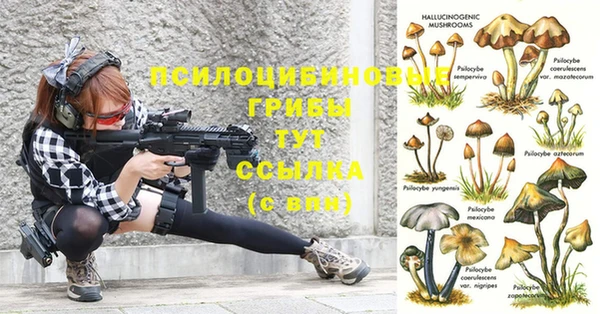 молекула духа Орск