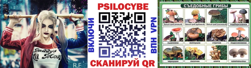 Купить Анива Галлюциногенные грибы Psilocybe